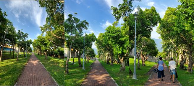 三星Galaxy Z Flip 5G超广角、主镜头、望远镜头实拍。（黄慧雯摄）
