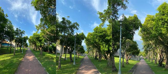 iPhone 11 Pro Max超广角、主镜头、望远镜头实拍。（黄慧雯摄）
