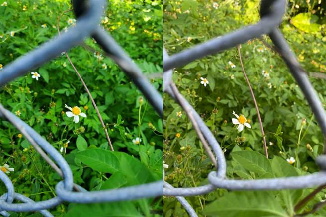 三星Galaxy Z Flip 5G(左）与iPhone 11 Pro Max日拍对比（2）。（黄慧雯摄）
