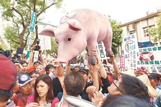 美豬牛能為台灣打通活路？