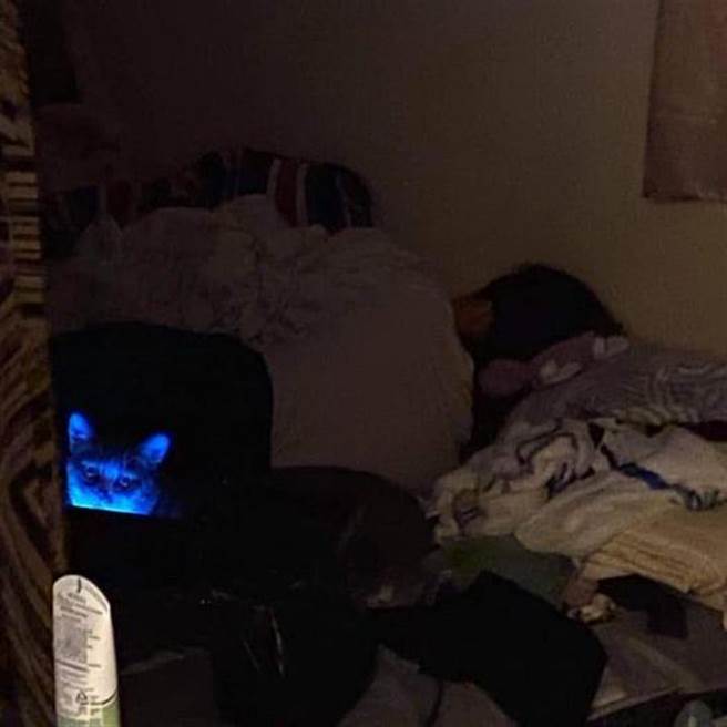 网友半夜有事找妈，一开门竟然惊见一恐怖怨灵。(图/原PO授权提供)