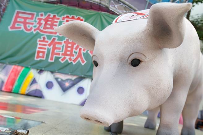 政府将放宽美猪、美牛进口。(中时资料照)