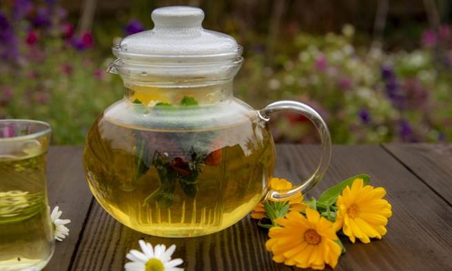 香氣清新的菊花枸杞茶有明目的效果。（圖／康健雜誌提供）