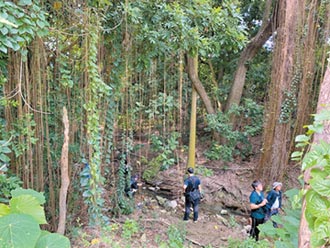 竹溪整治 哈赫拿爾森林低度開發
