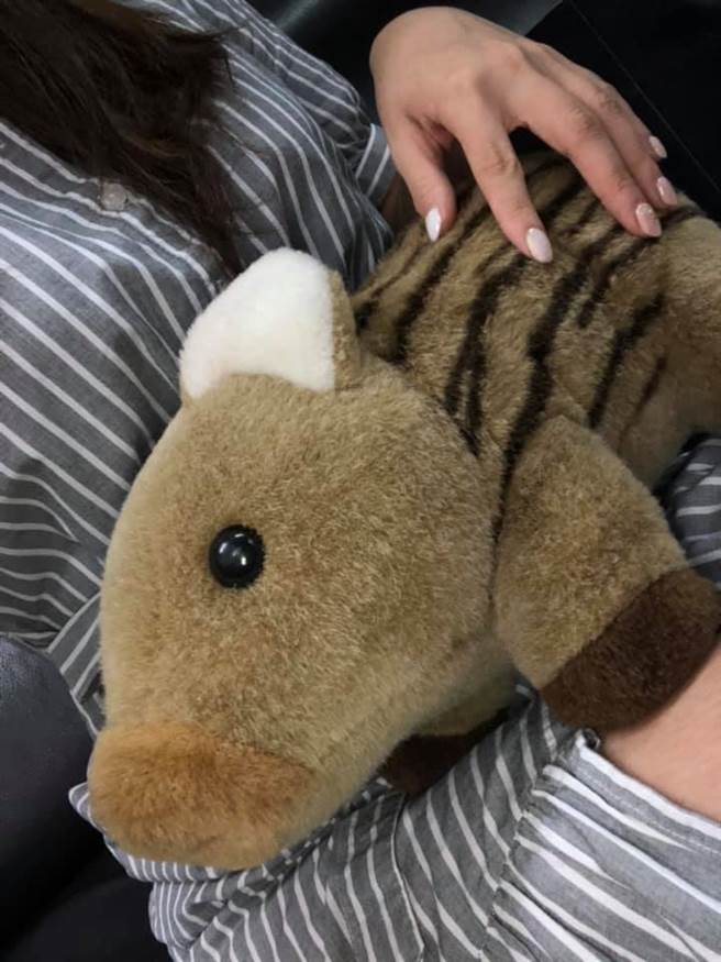 山豬娃娃從10歲就開始陪伴新娘 現在仍是她的最愛(圖/翁姓網友提供)