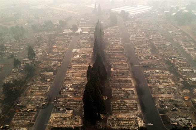 美國西岸野火至今已釀28人喪命，當中也包含一名抱著愛犬蜷縮、陳屍車上的男孩，野火掃過之處全付之一炬。（圖／路透社）