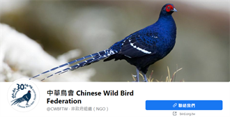 中華鳥會遭解除夥伴關係 我外交部譴責大陸