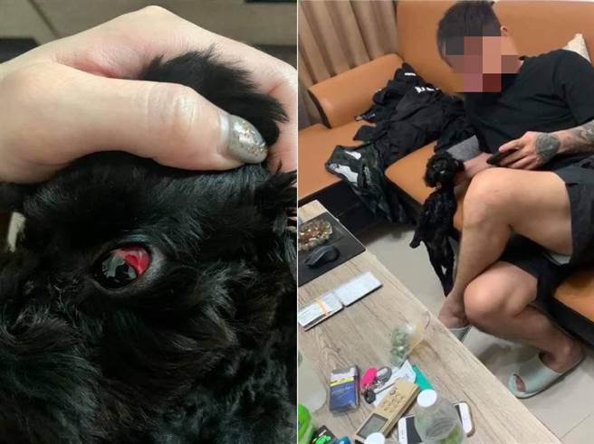 男子因不满黑贵宾乱咬东西，竟气得掐狗脖子悬空2分钟(图翻摄自/邵柏虎脸书)