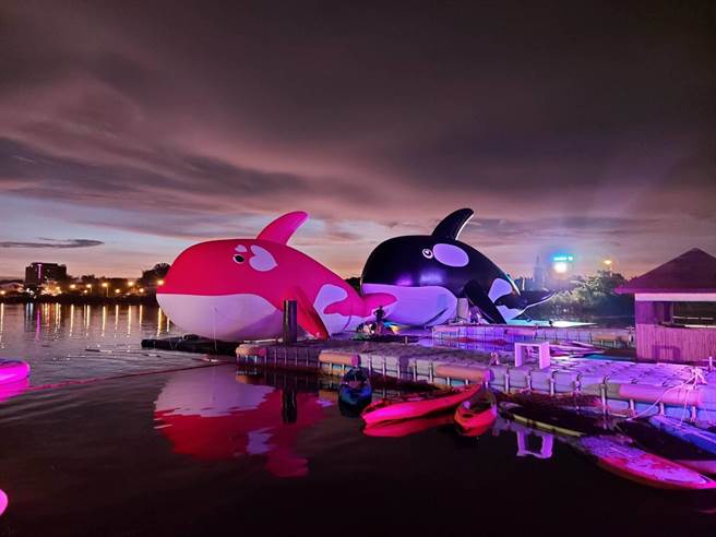 台南市安平區水景公園虎鯨展覽，在添加一隻女虎鯨後，業者打算再加兩隻小虎鯨。（讀者提供／程炳璋台南傳真）