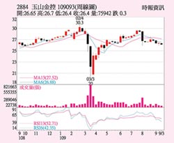 玉山金 聚焦跨境整合