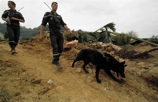 法國救援隊帶著搜救犬在國姓鄉南港村九份二山搜救。（中時資料照 羅琦文攝）  