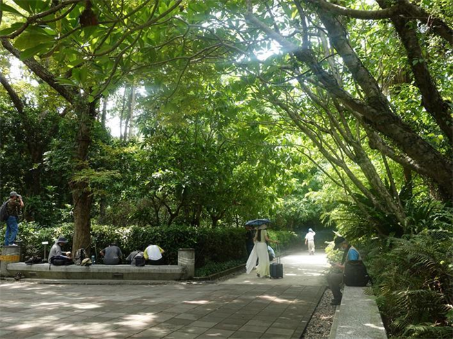 台北植物園。圖／林試所提供