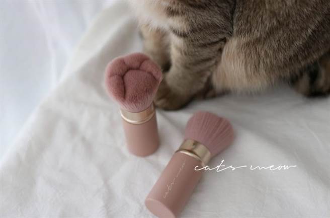 刷具有伸缩功能。（图片来源：一只猫Cats Meöw）