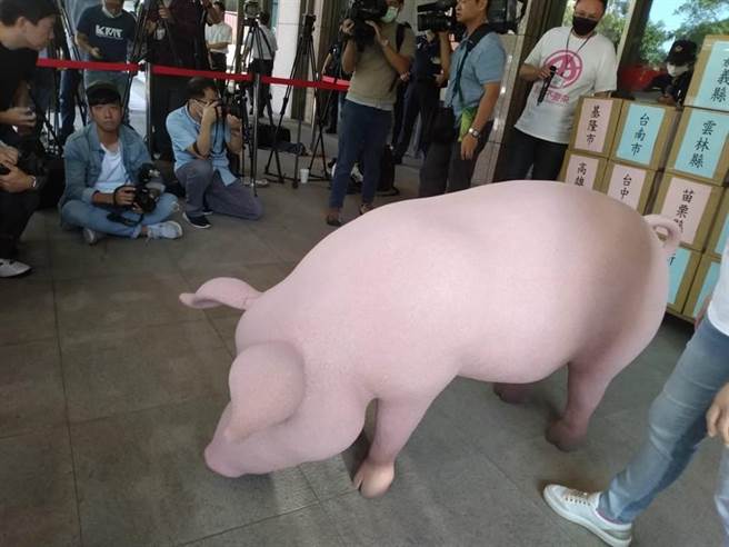 美猪开放忧食安  总统：台湾猪不怕竞争。本报资料照