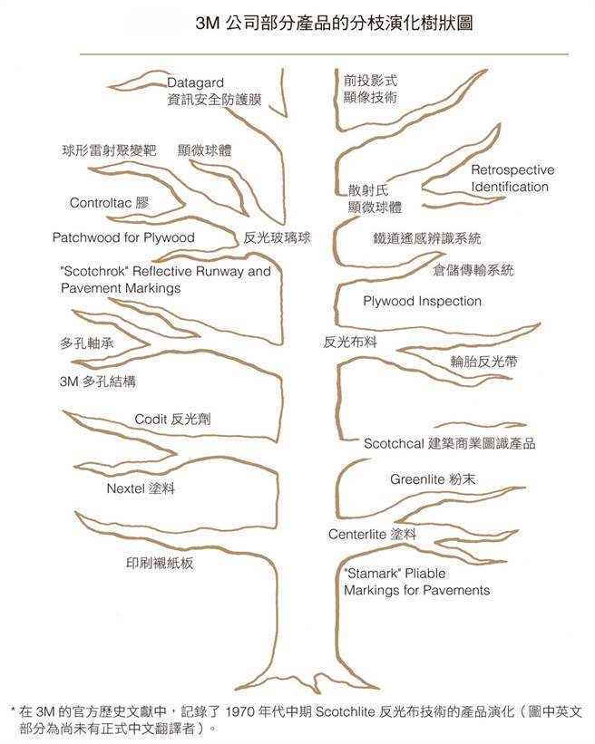 3M公司部分產品的分枝演化樹狀圖