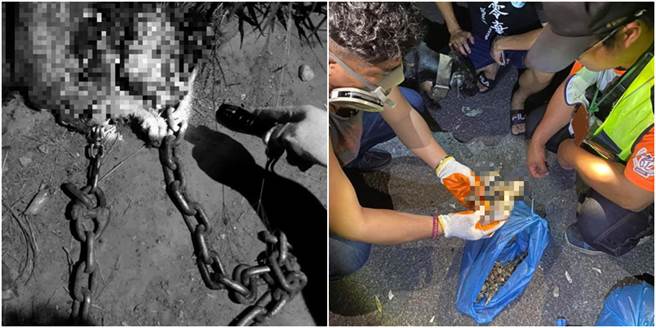 一名动保员意外发现苗栗县公馆一处空地成狗儿屠宰场，现场宛如狗儿的人间地狱，让他看了难过又生气，而现场也发现许多虐杀狗儿的工具。（图／翻摄自当事人脸书）