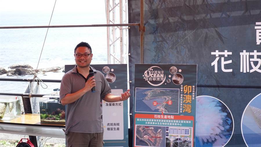 海洋大學助理教授徐德華與新北市漁業處攜手推動「雙花計畫」，開發烏賊（俗稱花枝）和萬里蟹三兄弟中最具經濟價值的「鏽斑蟳（俗稱花蟹）」人工繁養殖技術，經多年繁養殖試驗後，如今已成功掌握虎斑烏賊等3種高經濟價值的完全養殖技術。（新北市漁業處提供／許哲瑗新北傳真）