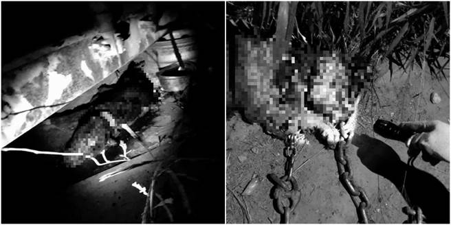 苗栗昨惊爆一处私人空地有大量狗尸及狗毛，饲主到案说明后，否认犯行。（图／翻摄自动保人员脸书）