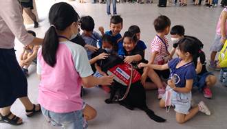 導盲犬進校園當生命老師 學童感恩體驗