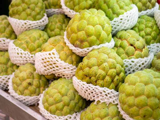 释迦没熟不能放冰箱！根据农委会资料显示，释迦会感冒（寒害）就无法继续变熟。（图／Shutterstock）