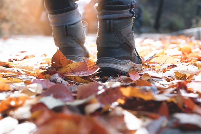 「寒露」的养生与禁忌，杨登嵙曝2种人要注意。（图／Shutterstock）