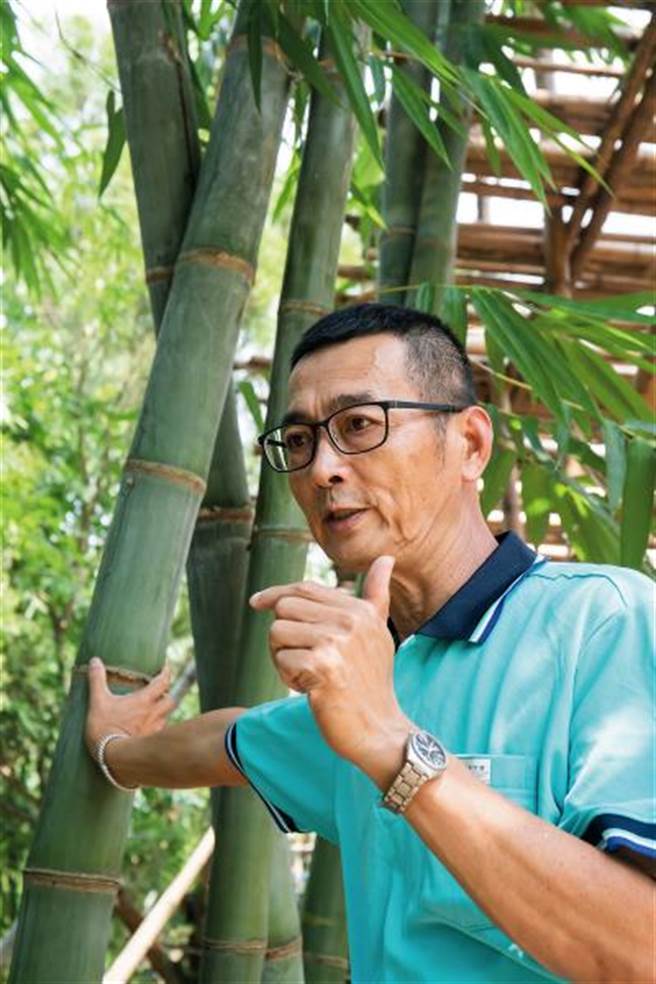 竹艺师张永旺将自家土地规划成「百竹园」，在此种植、研究，实践自己的竹子梦。(图/林旻萱)