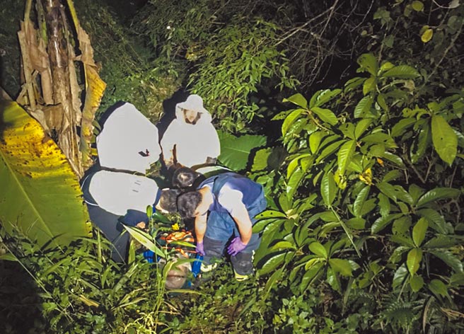 王男遭头虎蜂叮咬休克，消防人员到场救援。（新竹县消防局提供／罗浚滨新竹传真）