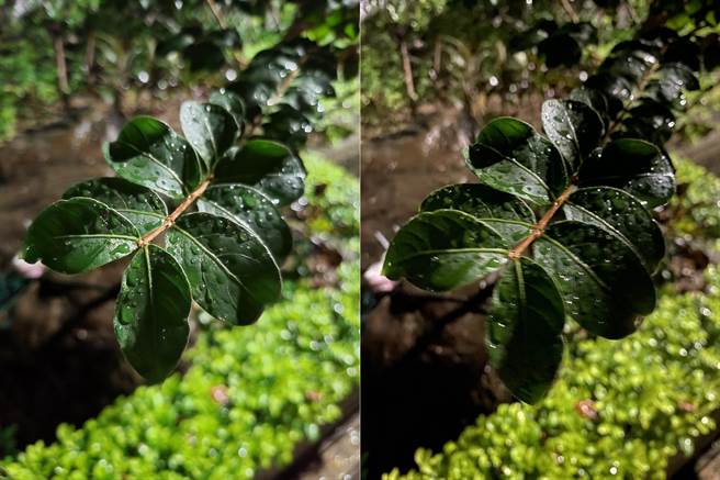 Galaxy Z Fold2(左)对比iPhone 11 Pro Max夜间实拍(3)。(黄慧雯摄)

