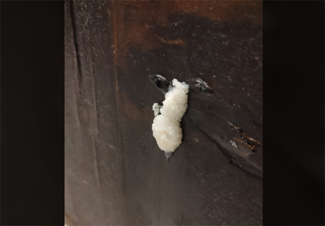 女网友PO出浴室门板上发现的一坨「白色卵状物」。(图/截自脸书爆系知识家)