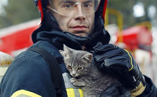 胖橘受困火场惨烧屁股 3警消暖张臂劝「跳楼求生」(示意图/达志影像)