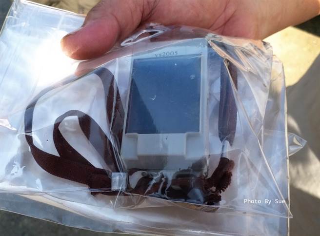 东方白鹤身上的卫星定位发报器。(图/吴素娥授权提供，请勿随意翻拍，以免侵权。)