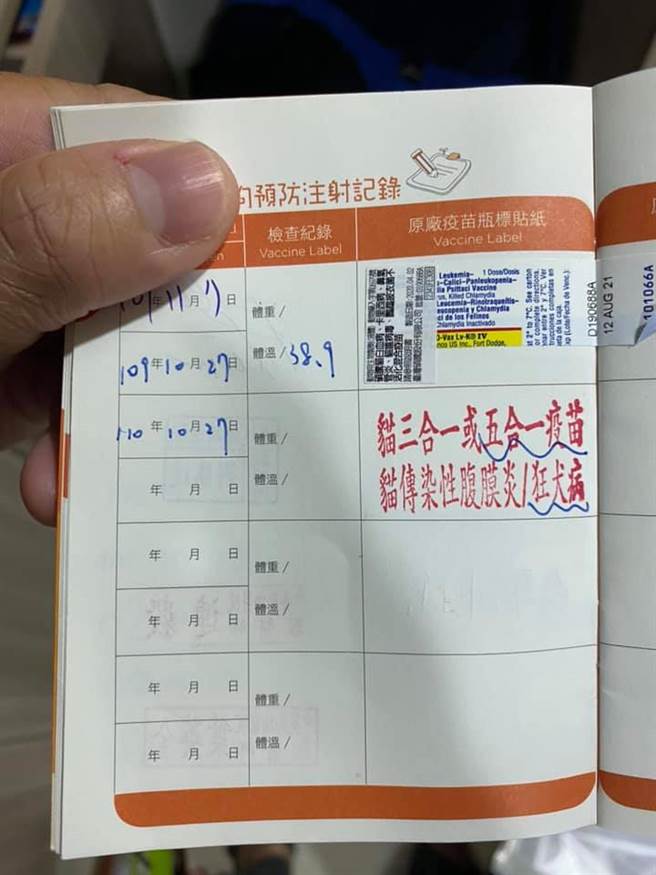 饲主随口帮爱猫取的名字，却让他在兽医院打预防针时超尷尬。(图翻摄自FB/爆废1公社)