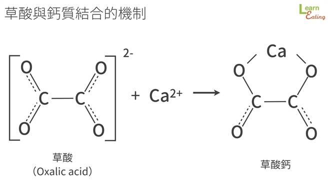 (图/好食课提供)
