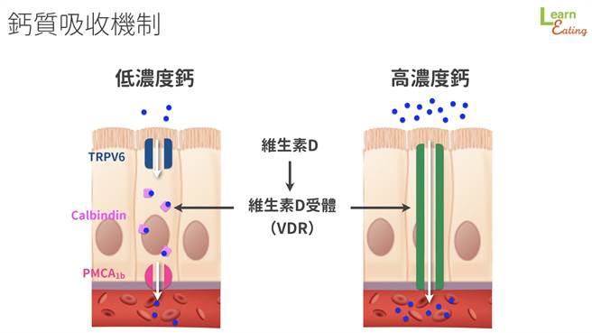 (图/好食课提供)