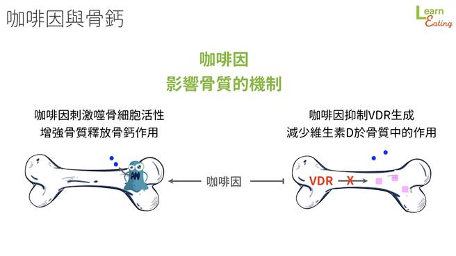 (图/好食课提供)