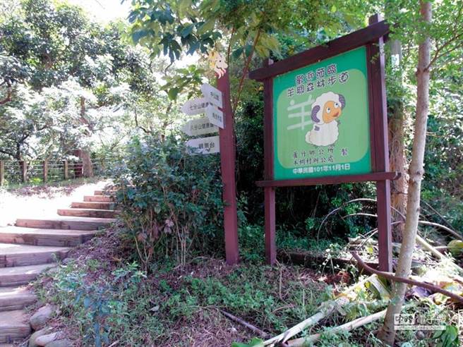 桃园市芦竹区南崁一带羊稠坑森林步道。（图／台湾房屋提供）
