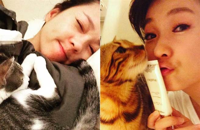 六月因儿子过敏而将猫咪送宠物旅馆，旅馆则贴出猫咪送养文，被网友炮轰根本弃养。(取材自六月IG)