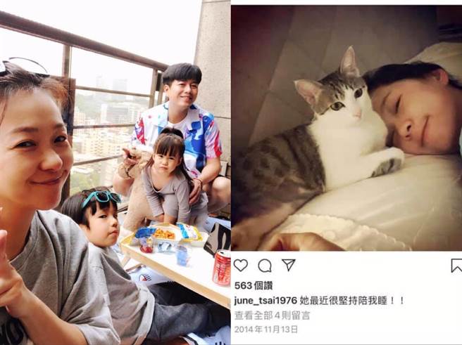 六月与李易养了一对可爱儿女和三只猫，却被爱猫人士指控弃养爱猫。（摘自脸书、IG）