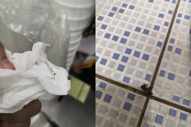 一位饮料店女员工在上班时遭蜜蜂螫胸部，蜂针还卡在她的胸部上。（脸书社团《爆怨2公社》／苏育宣翻摄）