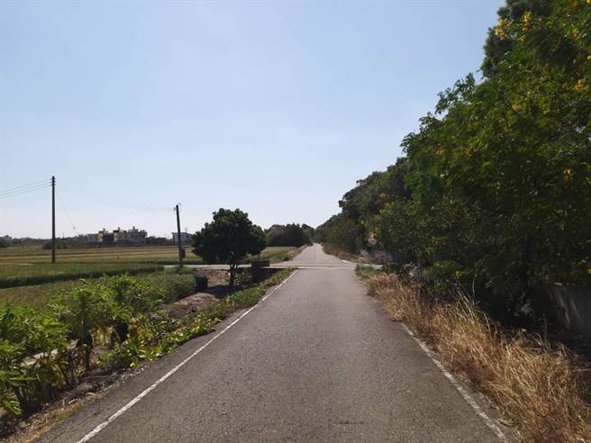 国道3号苑里路段涵洞路口没有号志，加上路树遮荫视线不良、夜晚无照明，导致车祸频传。（张顾砾提供／巫静婷苗栗传真）