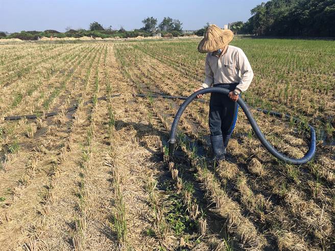 台南市政府环保局推广「沼液沼渣作为农地肥分使用」，将沼液沼渣还肥于田。（环保局提供／洪荣志台南传真）