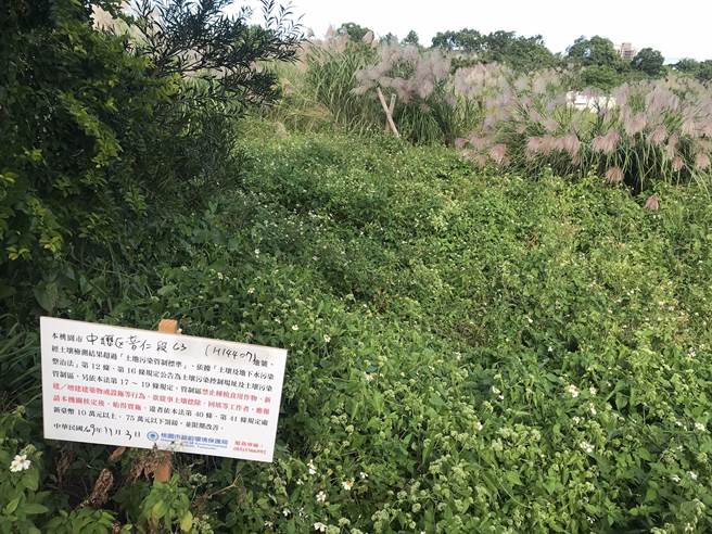 桃园市中坜区普仁段65笔坵块前年被发现受重金属物质「镉」污染，预计2021年1月进场整治，力拼4月申请解除列管。（黄婉婷摄）