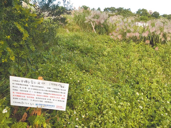 桃园市中坜区普仁段65笔坵块，前年被发现遭重金属物质「镉」污染，预计2021年1月进场整治，力拚申请解除列管。（黄婉婷摄）