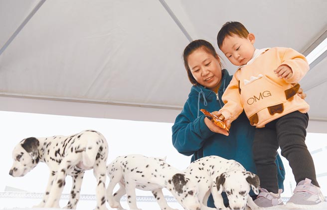 大陆民眾观看商家展出的宠物狗。（新华社资料照片）