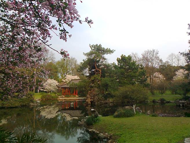 春天的植物園，杭州。（作者提供）