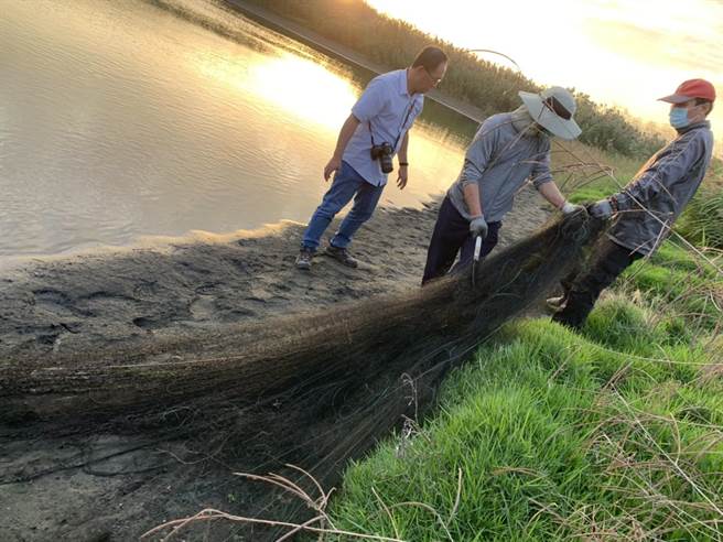 麦子簝文化协会与第四河川局接获通报后前往将鸟网拆除，现场发现数10只野鸟受伤死亡。（麦子簝文化协会提供／周书圣云林传真）