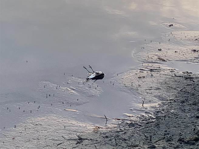 云林县浊水溪出海口南岸传出有民眾非法架设大型鸟网，导致数10只稀有鸟类挂网受伤，其中10只不幸惨死。（麦子簝文化协会提供／周书圣云林传真）