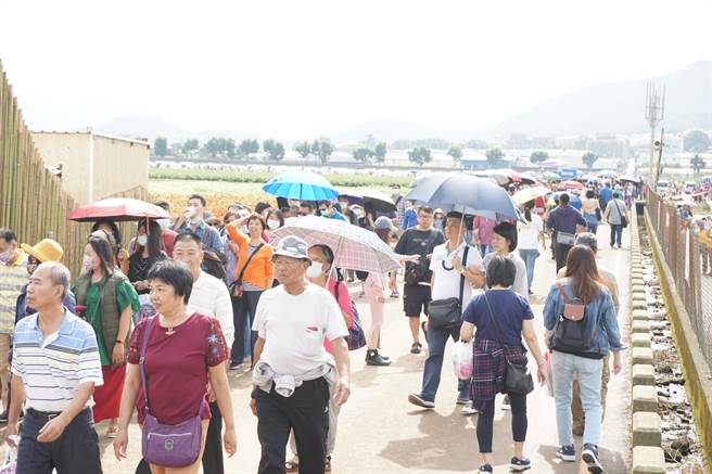 There were queues at the exhibition area of ​​the Taichung International Tapestry Festival, which stretched to the parking lot.  (Photo by Wang Wenji)