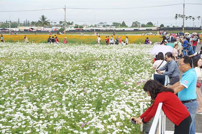 On the opening day of the Xinshe and Taichung Sea of ​​Flowers International Tapestry Festival, crowds of flower spectators flooded the Taichung Xinshe.  (Photo by Wang Wenji)