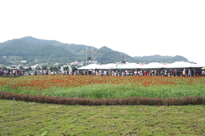 There were queues at the exhibition area of ​​the Taichung International Tapestry Festival, which stretched to the parking lot.  (Photo by Wang Wenji)